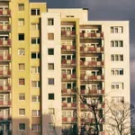 „Čim nema informacija, verovatno ne ide onako kako je obećano“: Šta je sa rešenjima o legalizaciji?