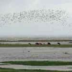Britiš Petroleum prodaje biznis u Severnom moru