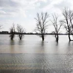 RHMZ objavio da su se zaledili delovi Tise i Tamiša, rečna policija apelovala na oprez