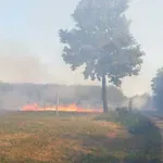 Ministarstvo poljoprivrede apelovalo da se ne pali strnjika