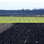 Kada se utvrdi ko stvarno koristi zemljište biće isplaćene subvencije po hektaru