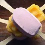 Vlada usvojila uredbu o pomoći proizvođačima mleka u prahu