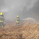 Za 10 godina u Subotici registrovano skoro 2.800 požara na otvorenom