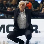 Miroslav Nikolić za Danas: Nije mi jasno zašto se Partizan kockao, nikad nisam video da neko ovako vodi tim kao Navaro