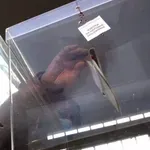 Zvanični podaci RIK-a: Rezultati lokalnih izbora u 10 gradova i opština