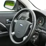 Kineski Tehron automotiv traži saglasnost za zelenu dozvolu za gradnju fabrike u Inđiji