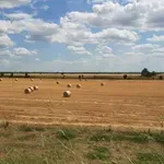 Povećanje cene auto-puta BG-ZR-NS kao navodnjavanje 40 odsto banatskih njiva
