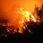 Na planini Stolovi vatra se širi, gašenje otežano, u Srbiji aktivno 25 požara
