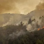 Dačić: Pripadnici Helikopterske jedinice u Španiji izveli 81 nalet za gašenje požara