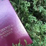 Počinje isplata studentskih stipendija i kredita, kao i stipendija za nadarene učenike i studente