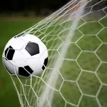 Egipatski golman suspendovan na četiri utakmice zbog udaranja sudije