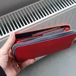 Koliko građani Srbije plaćaju ogrev ove jeseni: Pelet do 44.000 dinara, drva 10.500 dinara