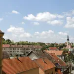 Gradonačelnik Vukovara zahteva da se odloži izložba fotografija „Srpkinja, heroina velikog rata“