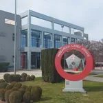 Izvršni odbor Fudbalskog saveza Srbije doneo odluku o raspisivanju izbora