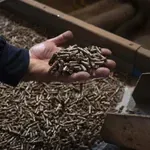 Tržište peleta se stabilizovalo, cena oko 37.000 dinara po toni