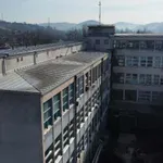Monarhisti: Ukinut stimulativni deo plate radnicima fabrike u Lučanima koji su protiv vlasti