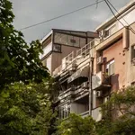 Gde se to zaglavila legalizacija?