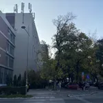 KRIK: Viši sud u Novom Sadu nije zvanično obavešten o pomilovanju 12 aktivista