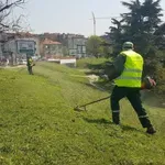 CLS: Beograd izgleda zapuštenije nego ikada, „Zelenilo Beograda“ zabeležilo veliki gubitak