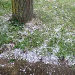 „Grad oko Kragujevca“: Led veličine graška zasuo ovaj grad