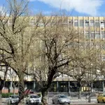 Apelacioni sud: Pravni fakultet studentu Stefanu Karanoviću da plati odštetu zbog povrede ugleda
