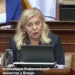 Ministarka Sofronijević: Zbog niskog vodostaja Dunava, četiri broda su se nasukala
