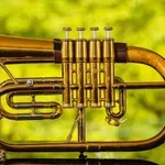 Novosadski džez festival: Dee Dee Bridgewater, Bill Evans, Bireli Lagrene quartet, Marialy Pacheco Trio i Aydin Esen Trio
