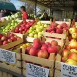 Voće dobro rodilo, ali uvoz jabuke iz Kine i Poljske oborio cene, druga klasa domaće 11 dinara