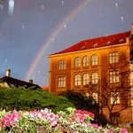 Kako izgleda najkišovitiji grad u Evropi tokom jedinih 30 dana sunca? Proslavljeni norveški fotograf Helge Skodvin dolazi u Beograd