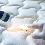 Francuska kinoteka zatvara svoje bioskope na mesec dana zbog pojave stenica