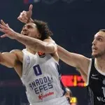 Duža pauza za Pokuševskog nakon povrede protiv Bajerna