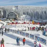 Univerzitet u Novom Sadu raspisao tender vredan 40 miliona dinara da pošalje 450 najboljih studenata na skijanje na Kopaonik