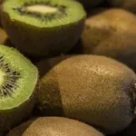 Ministarstvo poljoprivrede demantuje: Nije Severna Makedonija sa granice vratila naš kivi, nego mi njihov