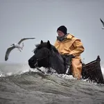 UNESCO i organizacija Onewater proglašavaju pobednike globalnog konkursa foto-priča „Hod kroz vodu”