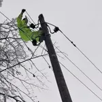 Macut i Mesarović uručili zahvalnice radnicima EDS i Srbijašuma