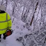 EDS: Majdanpek tokom dana dobija električnu energiju, na terenu 184 ekipe