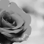 Komemoracija novinarki Dragoslavi Peskarević: UNS se oprašta od koleginice