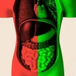 Mesecima sam istraživao utiče li zdravlje creva na starenje