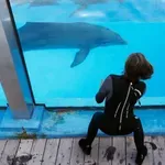 Delfinarijum na Ušću, nova megalomanska fantazija vlasti: Ceo svet ih zatvara, a mi otvaramo novi