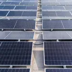 Sremska Mitrovica dobija prvu solarnu elektranu koja će proizvoditi struju i povrće