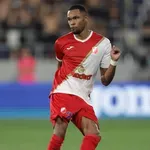 Nenadano pojačanje: Brazilac oblači dres Srbije?