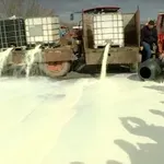 PSG Vojvodina: Kada su poljoprivrednici primorani da prosipaju mleko, to je jasan dokaz da je sistem zakazao