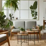 Više od dekoracije: Ova biljka uklapa se u svaki prostor, prečišćava vazduh, ali donosi i određeni rizik