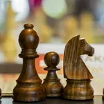 Preminuo srpski šahovski velemajstor Slavoljub Marjanović