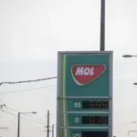 Jorgić o dogovoru Srbije i MOL-a: Čijih pet odsto akcija bi Srbija kupila i na koji period se MOL obavezao da održava rad Rafinerije?