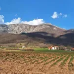 Autokratiji očito nije potrebna nauka