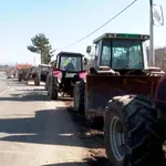 Proizvođači mleka posle sastanka u Vladi: „Glamočić nam poručio, kome se ne isplati, da promeni profesiju“