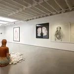 Promišljanja o predrasudama vezanim za ženske genitalne organe: Izložba „Hormonologija. Želja, nagon, potreba.” u SKC-u Kragujevac