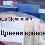 Život kom se smejete je podnošljiv život: Neda Bjelanović, povodom romana „Crveni krovovi“ o ratu i izbeglištvu iz pozicije deteta