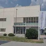 NPS Kragujevac: Jedino se „Stelantis” nije oglasio povodom pojave šuge u njihovoj fabrici